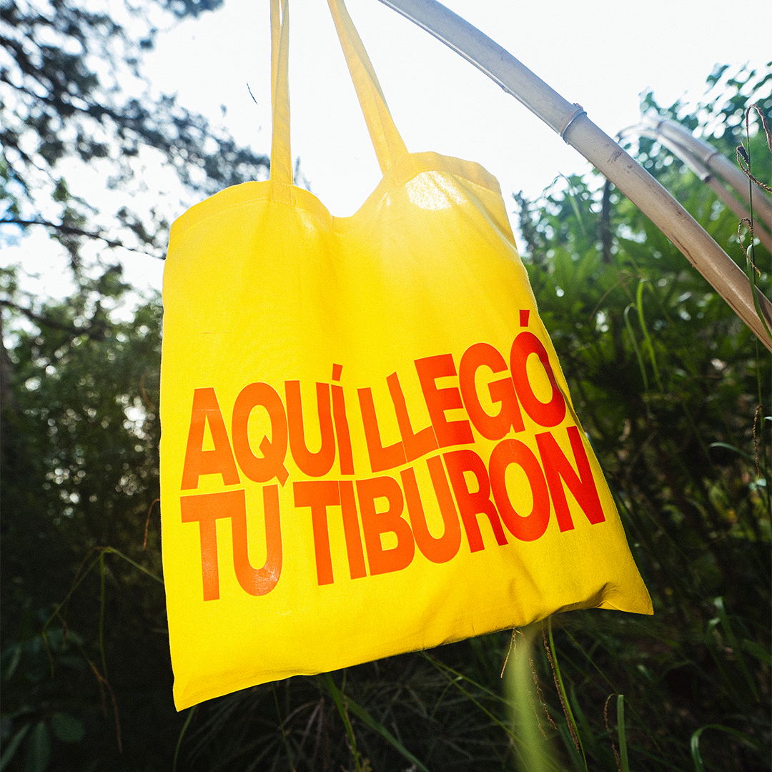 Reggaeton Lyrics • Tote Bag